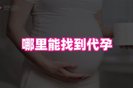 无锡助孕网 2